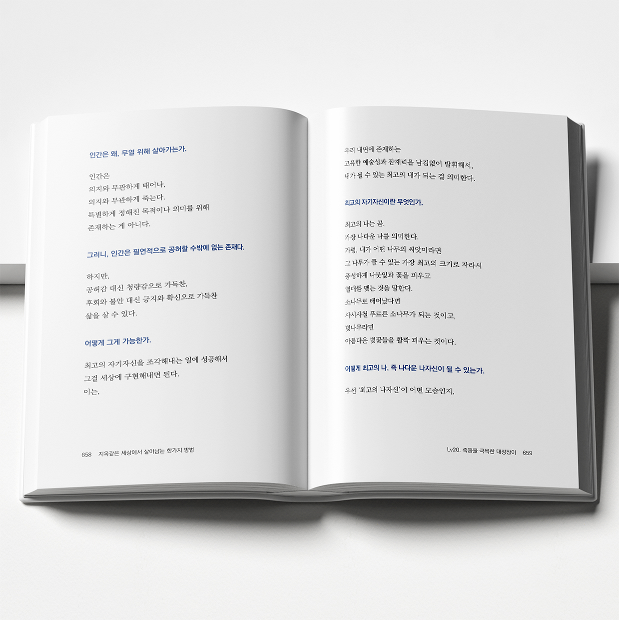 자기개화 본문 2